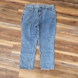 America Eagle Blue Striped Mom Jeans Size 16